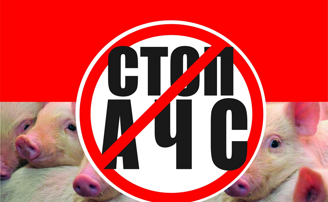 АЧС.